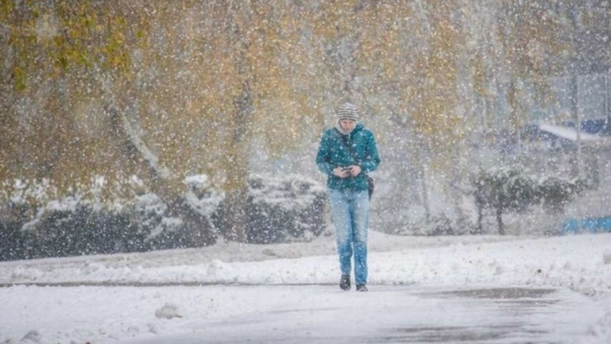 открытые источники