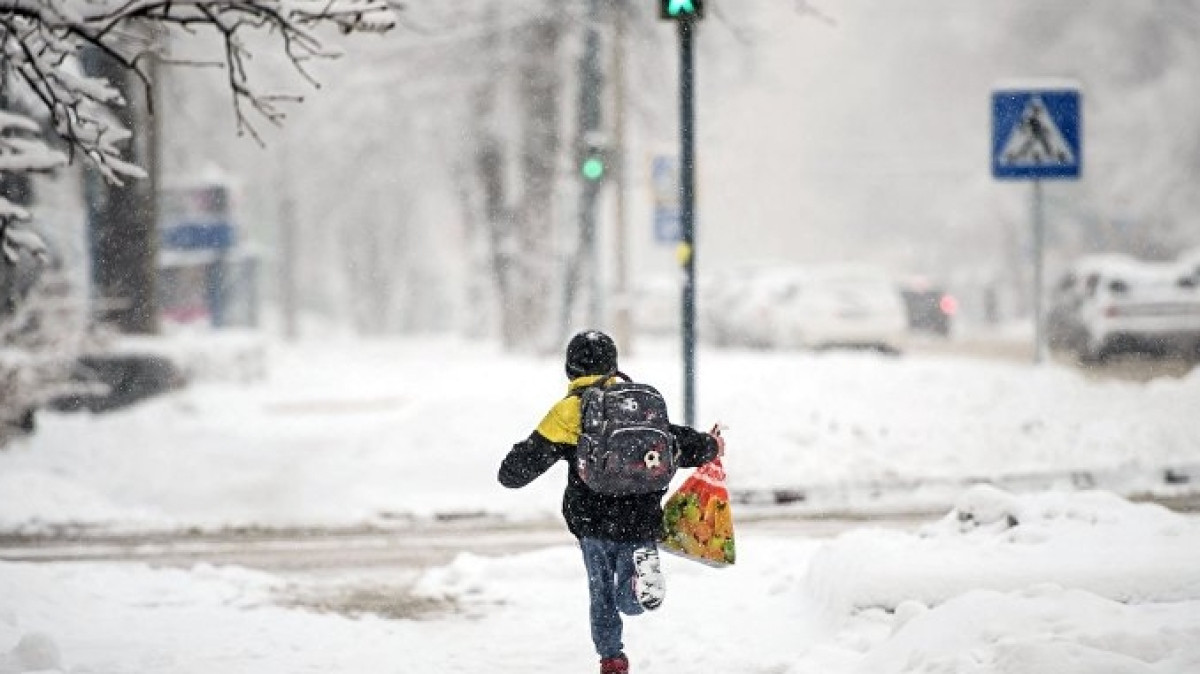 открытые источники