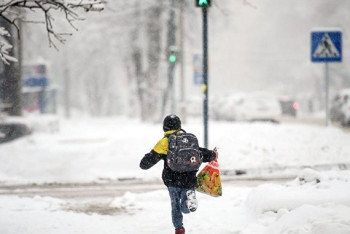 Фотография к новости: В Астане появятся интеллектуальные пешеходные переходы 
