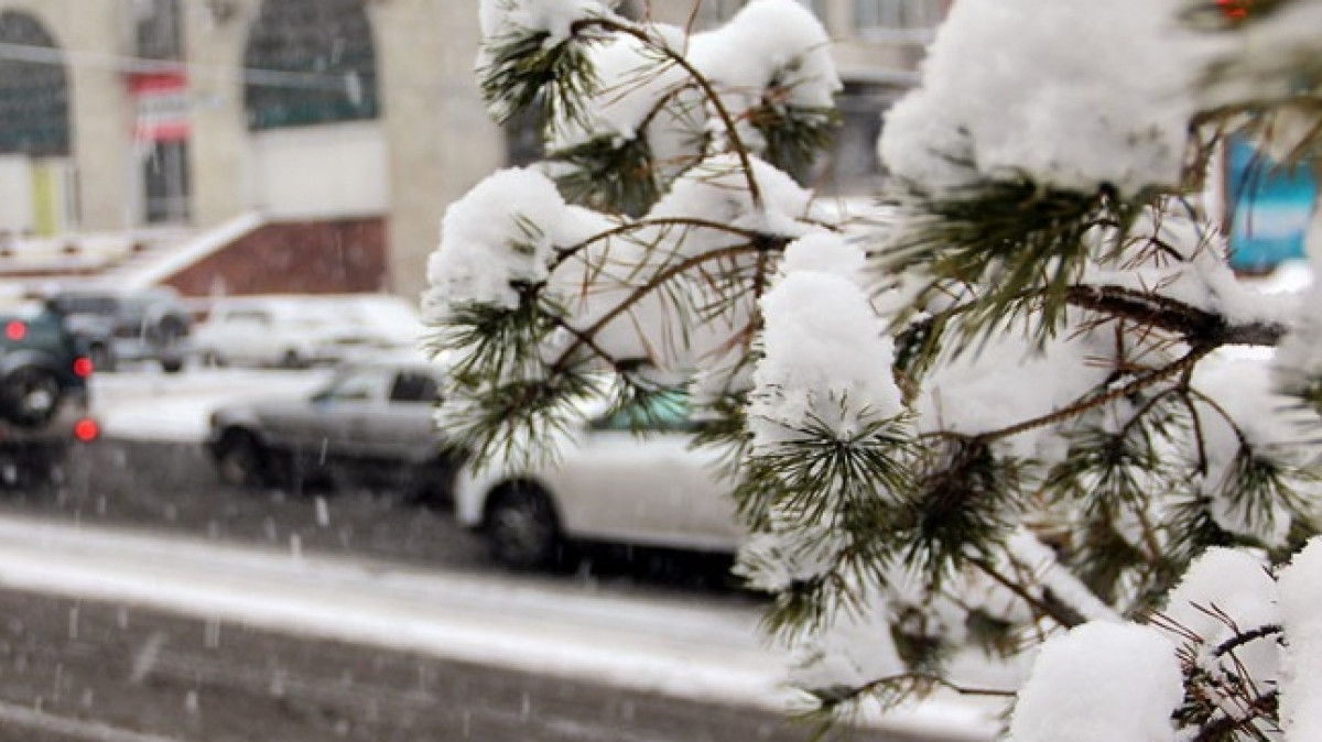 из открытых источников   