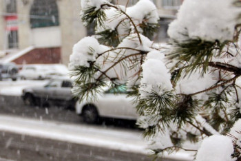 Фотография к новости: Более 1400 человек ликвидируют последствия снегопада в Алматы 