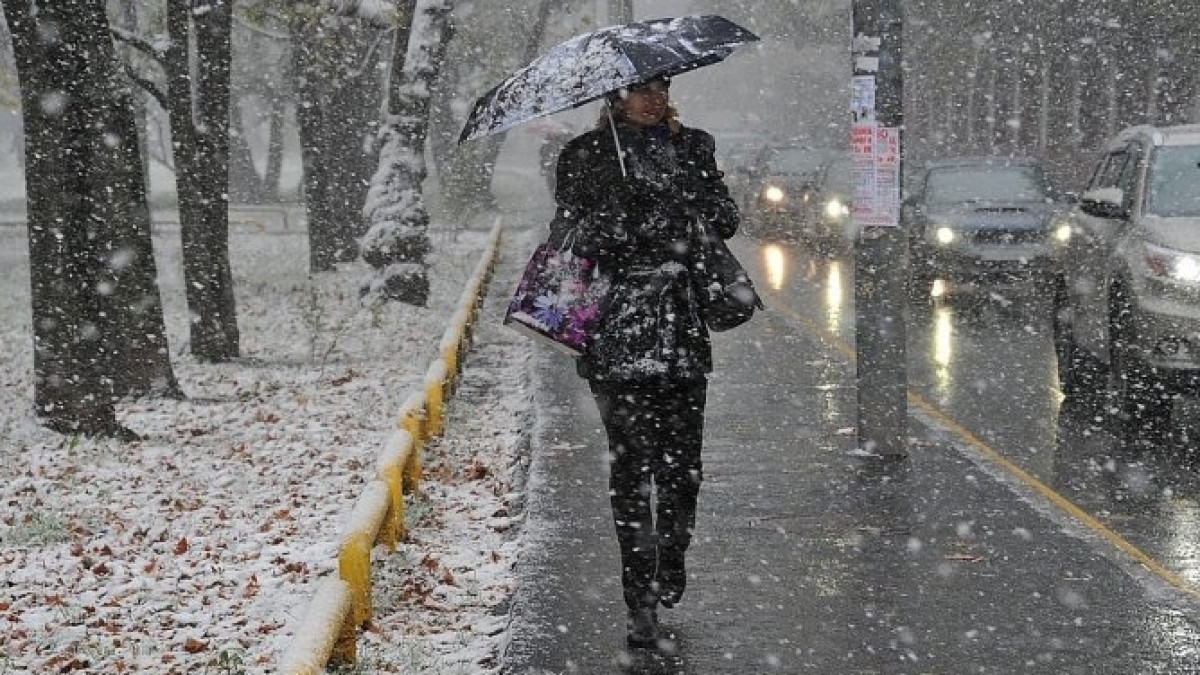 открытые источники