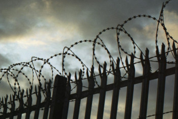 Фотография к новости: Семь казахстанцев с начала года попали в тюрьмы Южной Кореи 