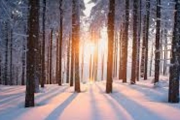 Последний месяц осени начнется в Казахстане с осадков и похолодания 