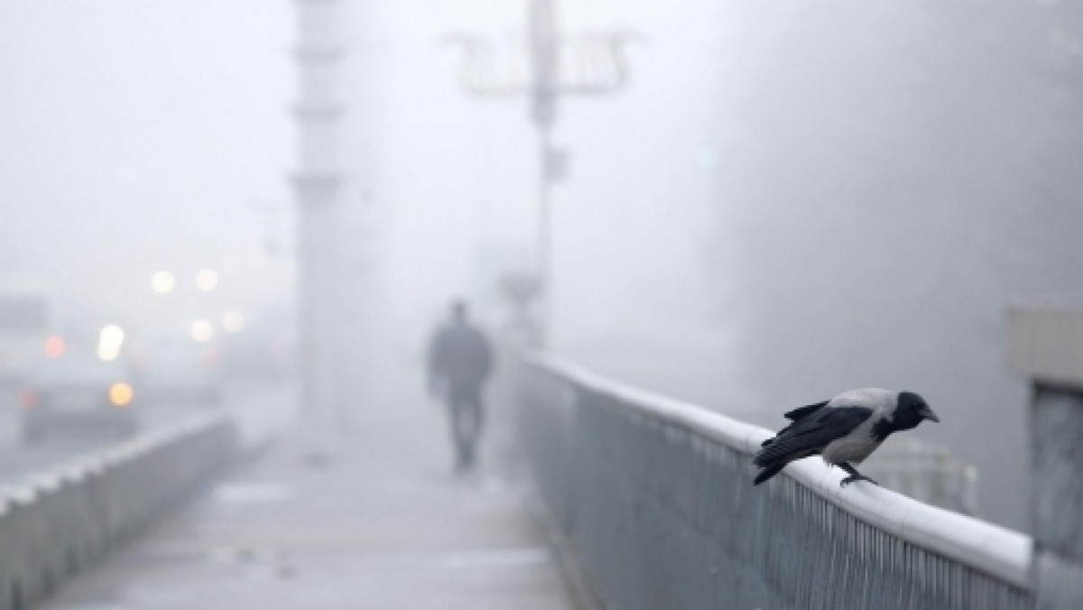 открытые источники