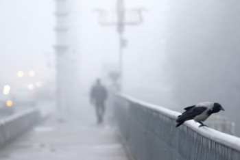 Фотография к новости: Гололёд и туман ожидаются в Казахстане 31 октября 