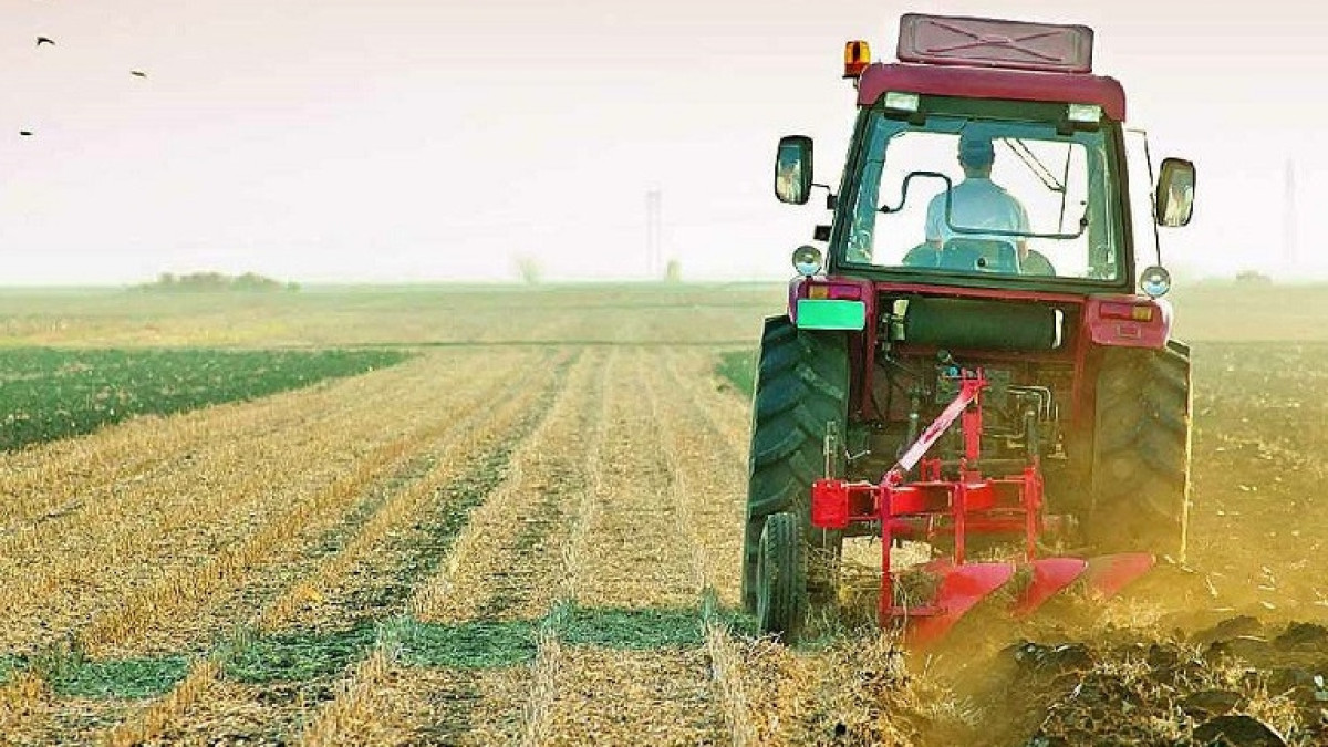 из открытых источников