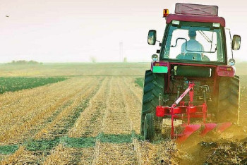 Фотография к новости: Костанайские сельхозпредприятия повысят зарплаты сотрудникам с начала 2019 года