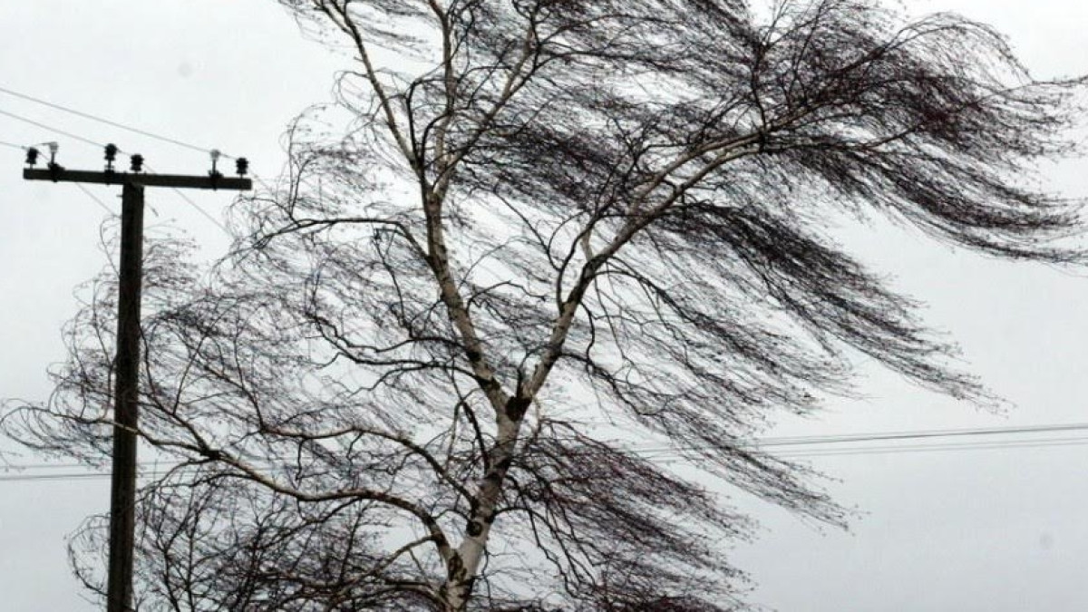 Ветер и осадки: штормовое  предупреждение распространили синоптики в ряде регионов