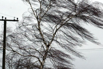 Ветер и осадки: штормовое  предупреждение распространили синоптики в ряде регионов