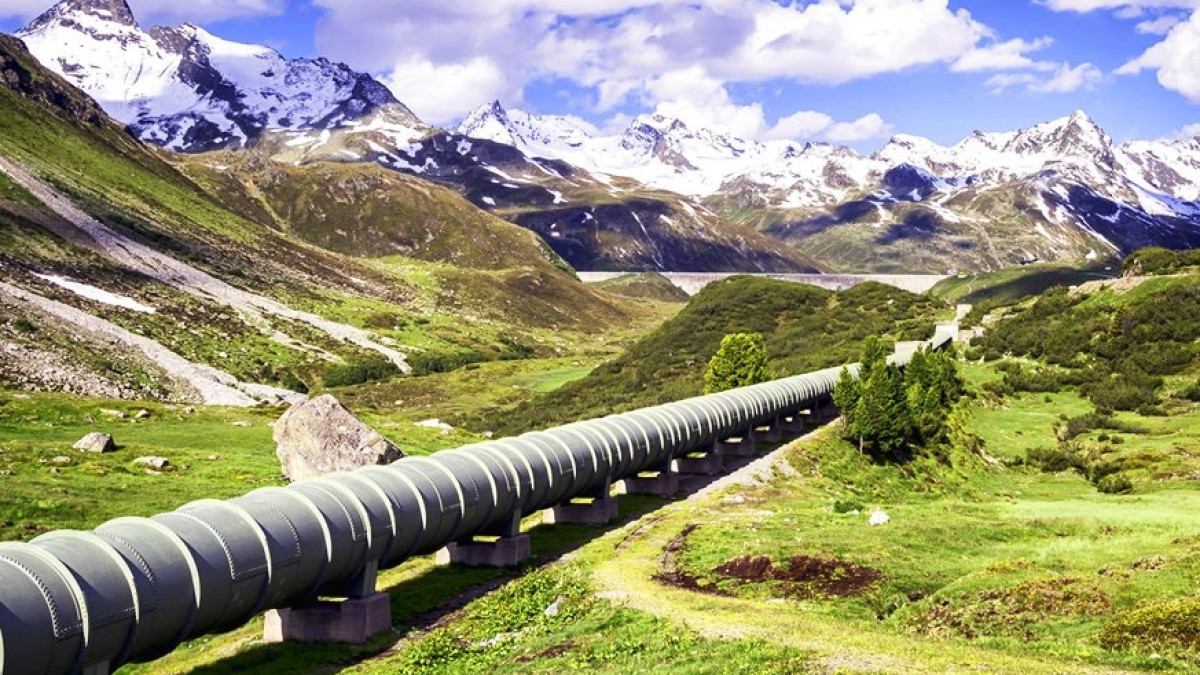 Дело транснациональной ОПГ: фигуранты полностью признали вину