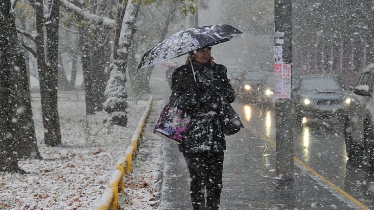 из открытых источников