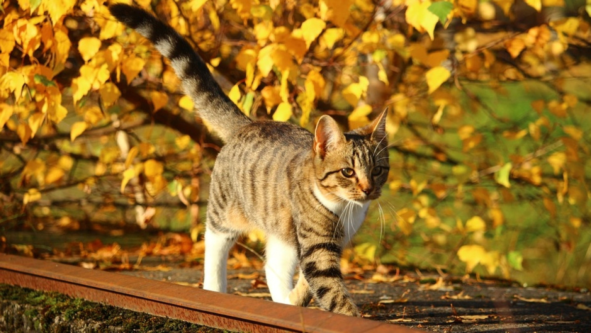 Из открытых источников 