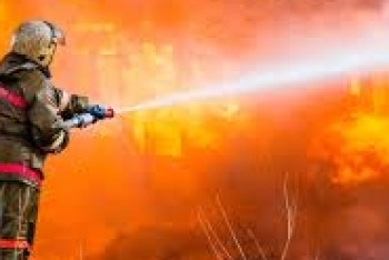 100 голов крупнорогатого скота погибло во время пожара в Алматинской области