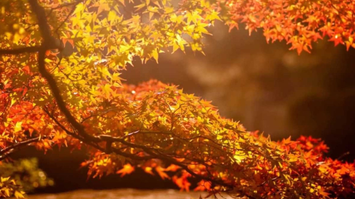 Из открытых источников 