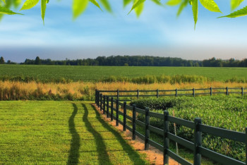 Фотография к новости: М.Тайжан предложил ввести институт аренды только для граждан Казахстана
