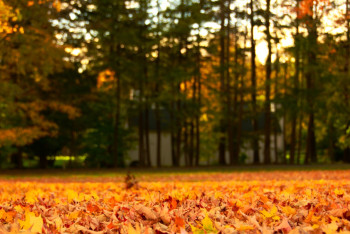 Фотография к новости: Какая погода ожидается в Казахстане 24 октября, рассказали синоптики