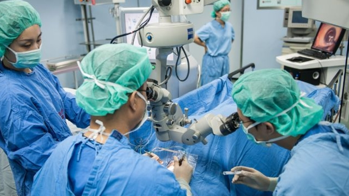 из открытых источников