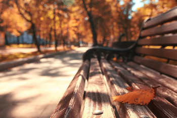 Фотография к новости:  Тепло придёт в Казахстан в ближайшие трое суток 