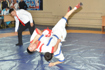 Представительный турнир по қазақ күресі прошел в Акмолинской области