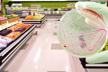 Фотография к новости: Свыше 700 килограммов опасных продуктов питания уничтожили в Актобе