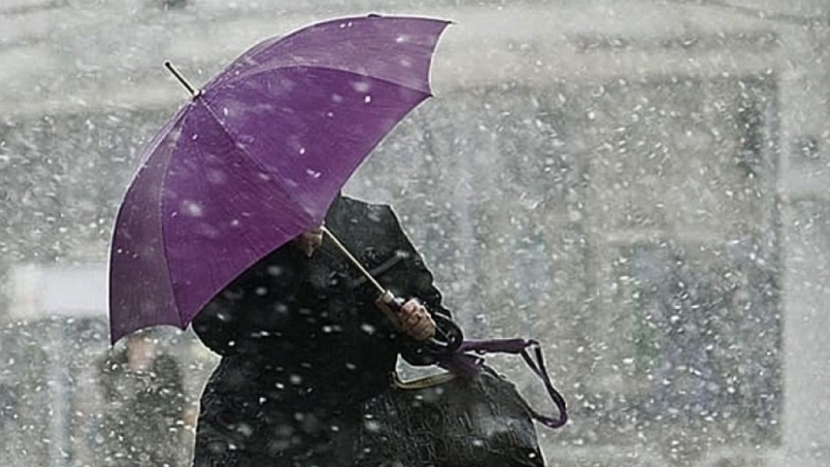 из открытых источников