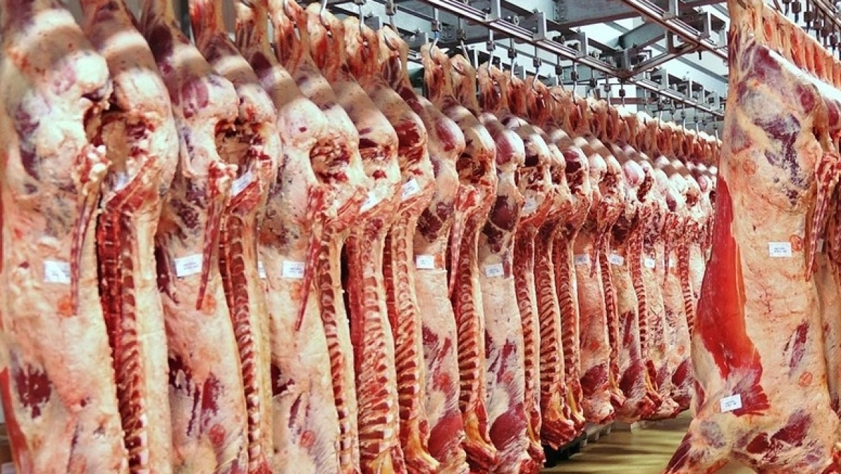 из открытых источников   