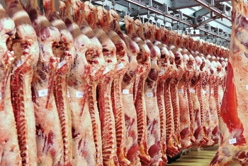 Фотография к новости: Туркестанская область лидирует в республике по экспорту мяса