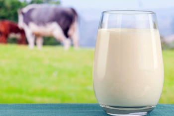 В ВКО увеличат закуп молока у населения