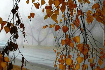 Фотография к новости: Осадки и гололед обещают синоптики 17 октября