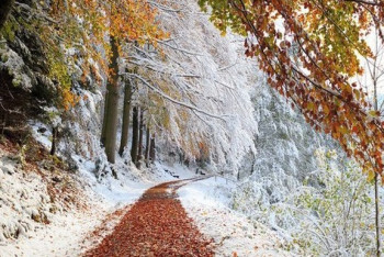 Фотография к новости: Осадки и гололед прогнозируют синоптики 16 октября