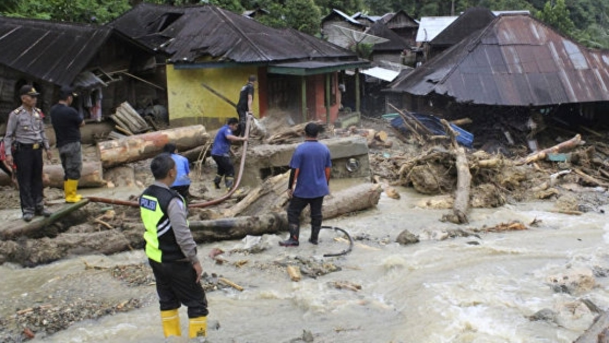 из открытых источников