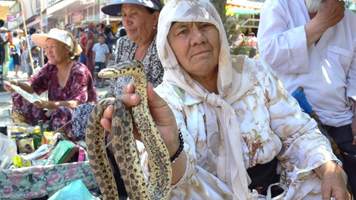 из открытых источников