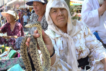 Фотография к новости: В Узбекистане официально признали народную медицину