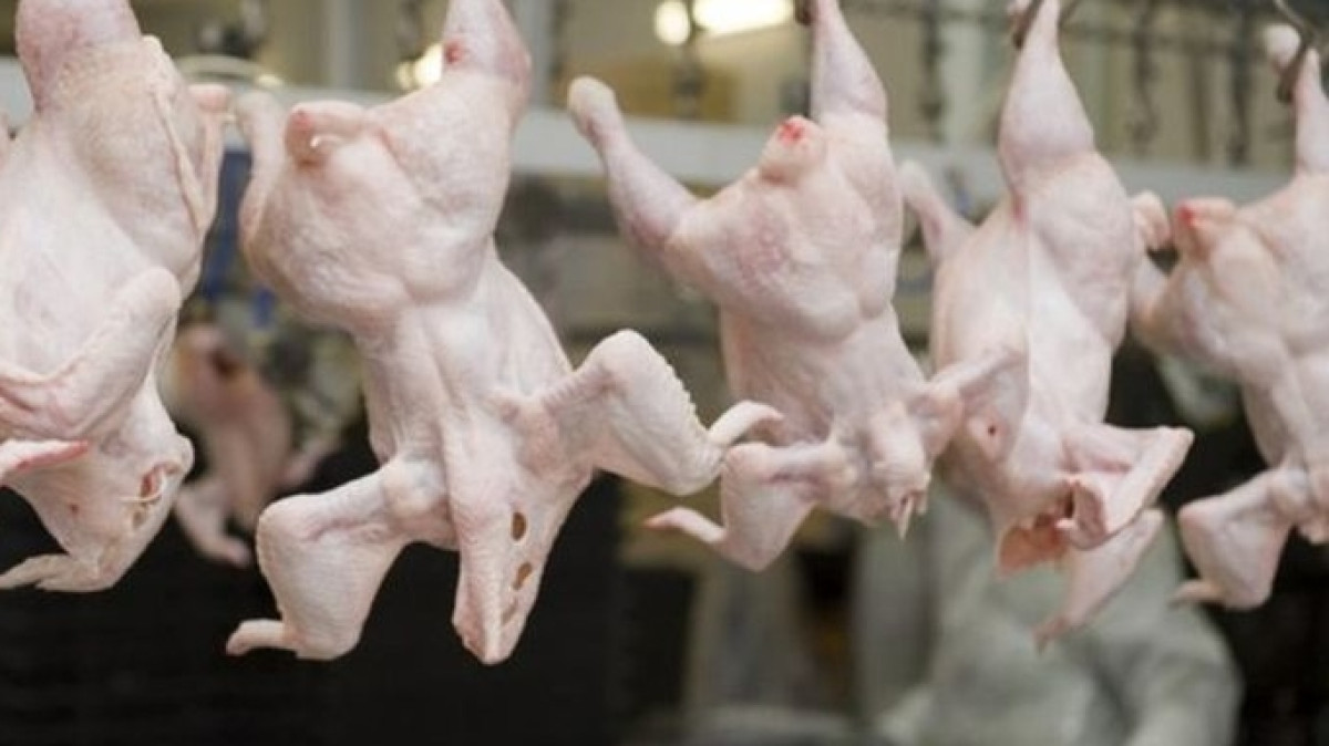 из открытых источников