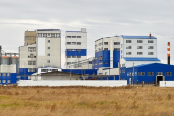 Уникальный завод по переработке пшеницы запустили в СКО