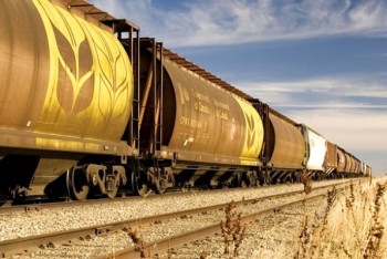 Фотография к новости: Около 11 млн тонн зерна перевезёт КТЖ до конца года