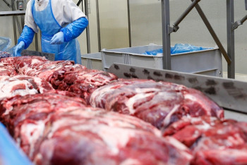 Фотография к новости: Казахстан экспортировал 10,5 тыс. тонн говядины в 2018 году 