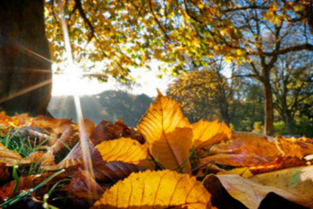 Фотография к новости: Погода без осадков ожидается на большей части Казахстана 11 октября 
