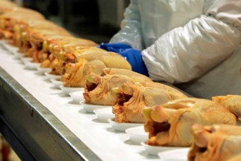 Фотография к новости: Ограничения Кыргызстана на ввоз мяса птицы из двух областей Казахстана неправомерны – МСХ