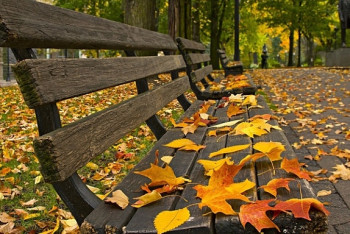 Фотография к новости: Погоду без осадков обещают синоптики в Казахстане 10 октября