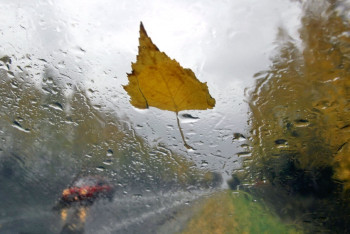 Фотография к новости: Штормовое предупреждение объявлено в трёх областях Казахстана
