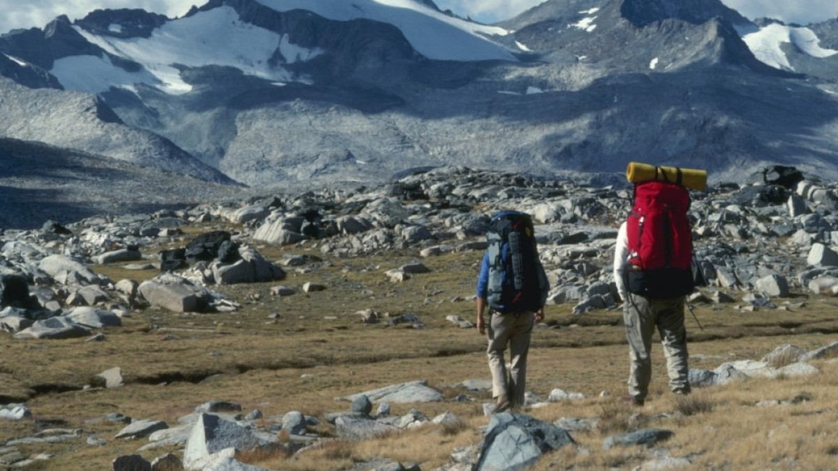 из открытых источников