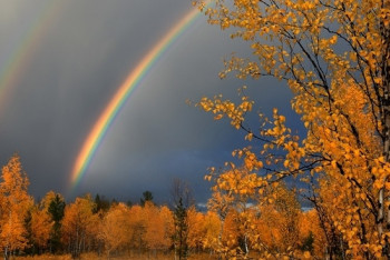 Фотография к новости: Синоптики прогнозируют дожди на большей части страны седьмого октября 