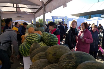 Фотография к новости:  Аграрии Кызылординской области привезли 90 тонн риса на ярмарку в Астану