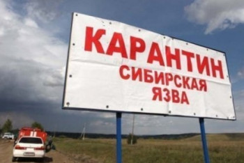 Фотография к новости: Карантин из-за вспышки сибирской язвы снимут в ВКО