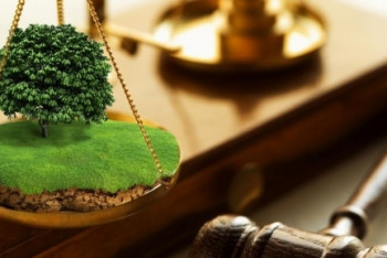 Фотография к новости: Назарбаев поручил вернуть самозахваченные земли государству  