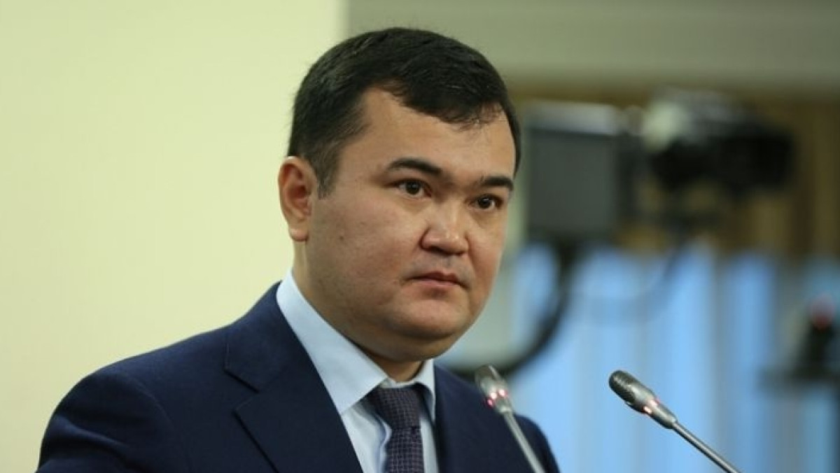 Назарбаев обратил внимание Касымбека на качество жилья   