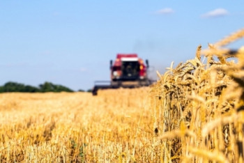 Фотография к новости: У нас достаточно земли и специалистов в АПК, чтобы решать задачи - Назарбаев  