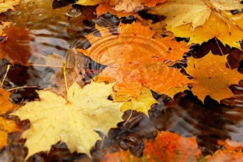 Фотография к новости: Погода без осадков ожидается на большей части Казахстана четвертого октября 